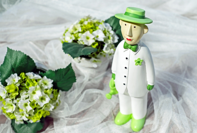 vente-LE CANNET-min_man-person-flower-green-toy-fig-546529-pxhere.com